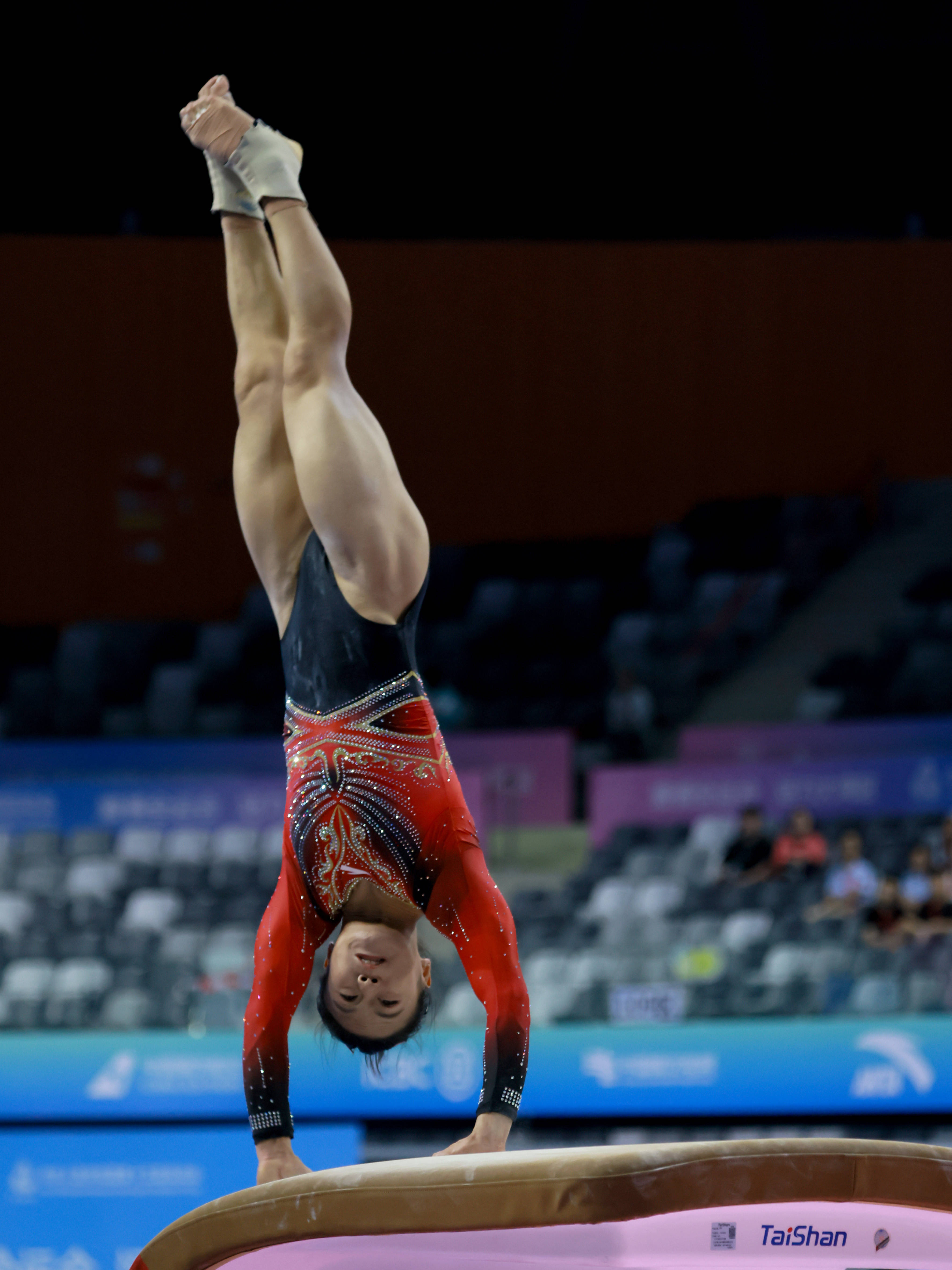 关于体操赛季收官，冠军榜单揭晓的信息