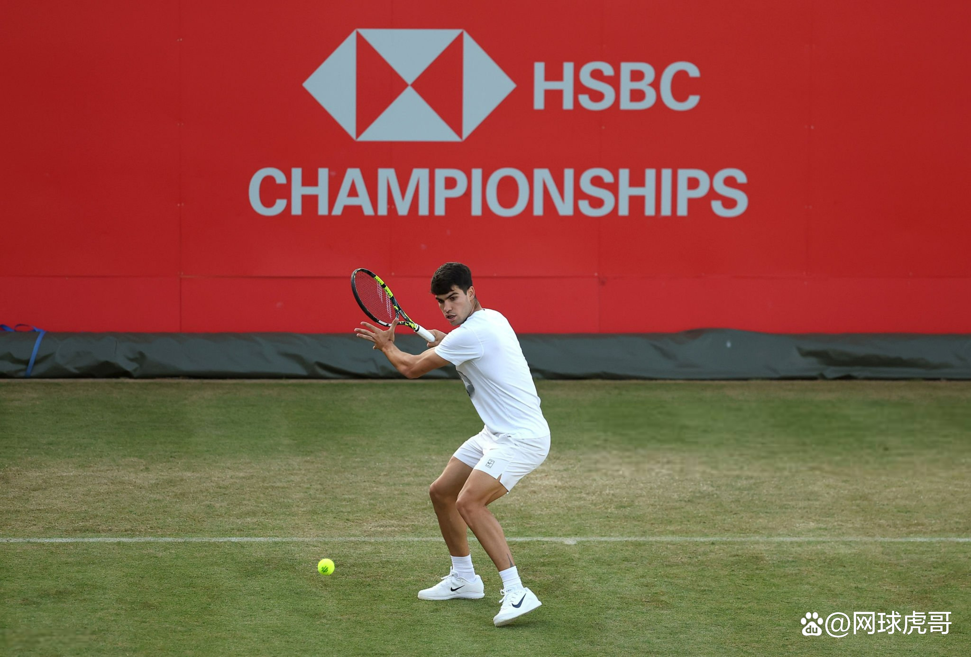 戴维斯杯绝杀拉沃尔杯，阿尔卡拉斯点燃赛场