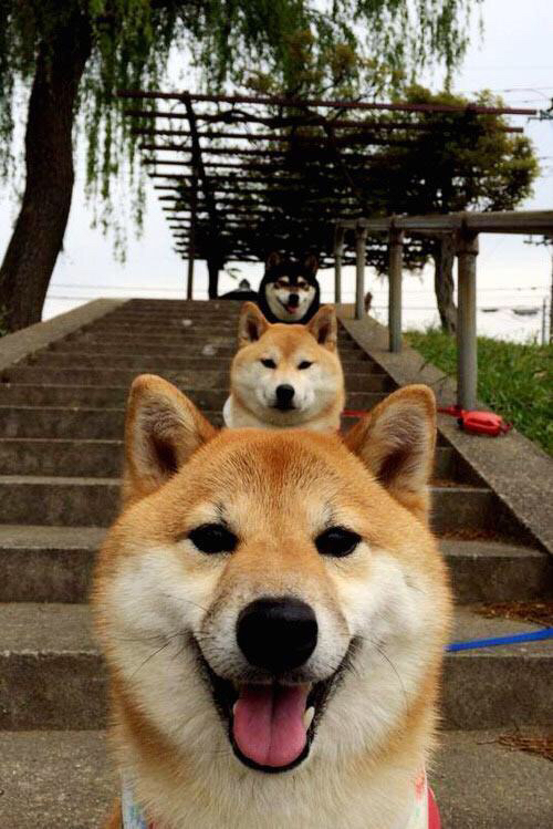 从法网阴霾到伦敦之巅，阿尔卡拉斯的关键制胜如何重写决赛剧本