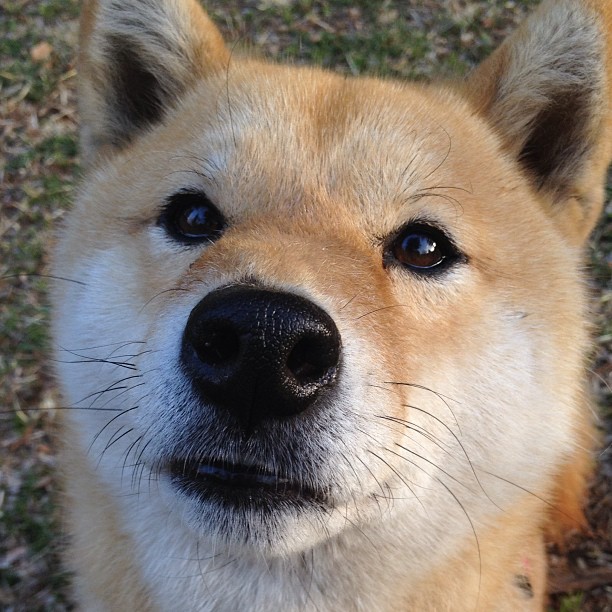 雄鹿破冰晋级背后的暗涌，是团队碾压，还是大场面先生班凯罗的时代预告？