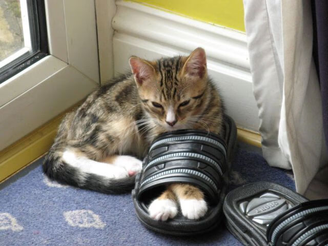 巴雷拉独舞，墨西哥对阵巴萨的星光之夜