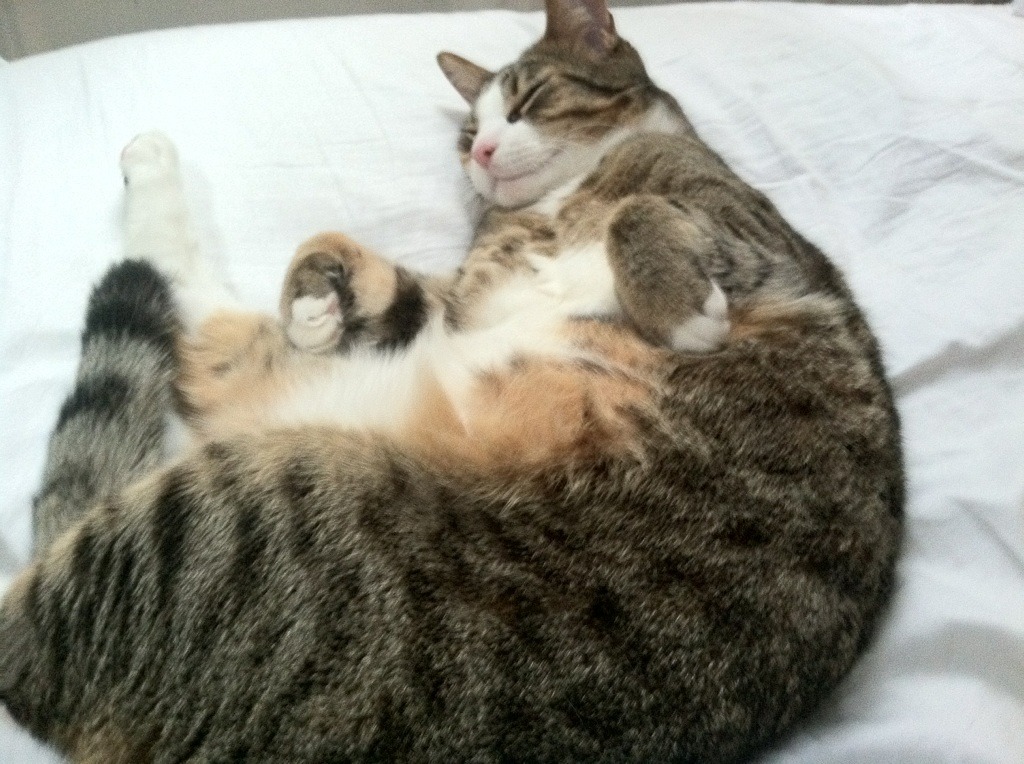 平行时空的错位？当足球欧冠决赛突变为篮球史诗之战