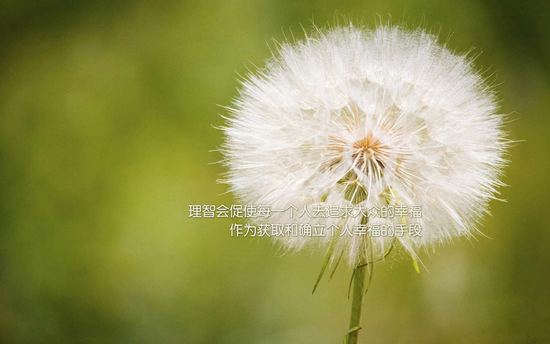 胜负手与粉碎者,约基奇的绝对统治与独行侠的团队铁锤