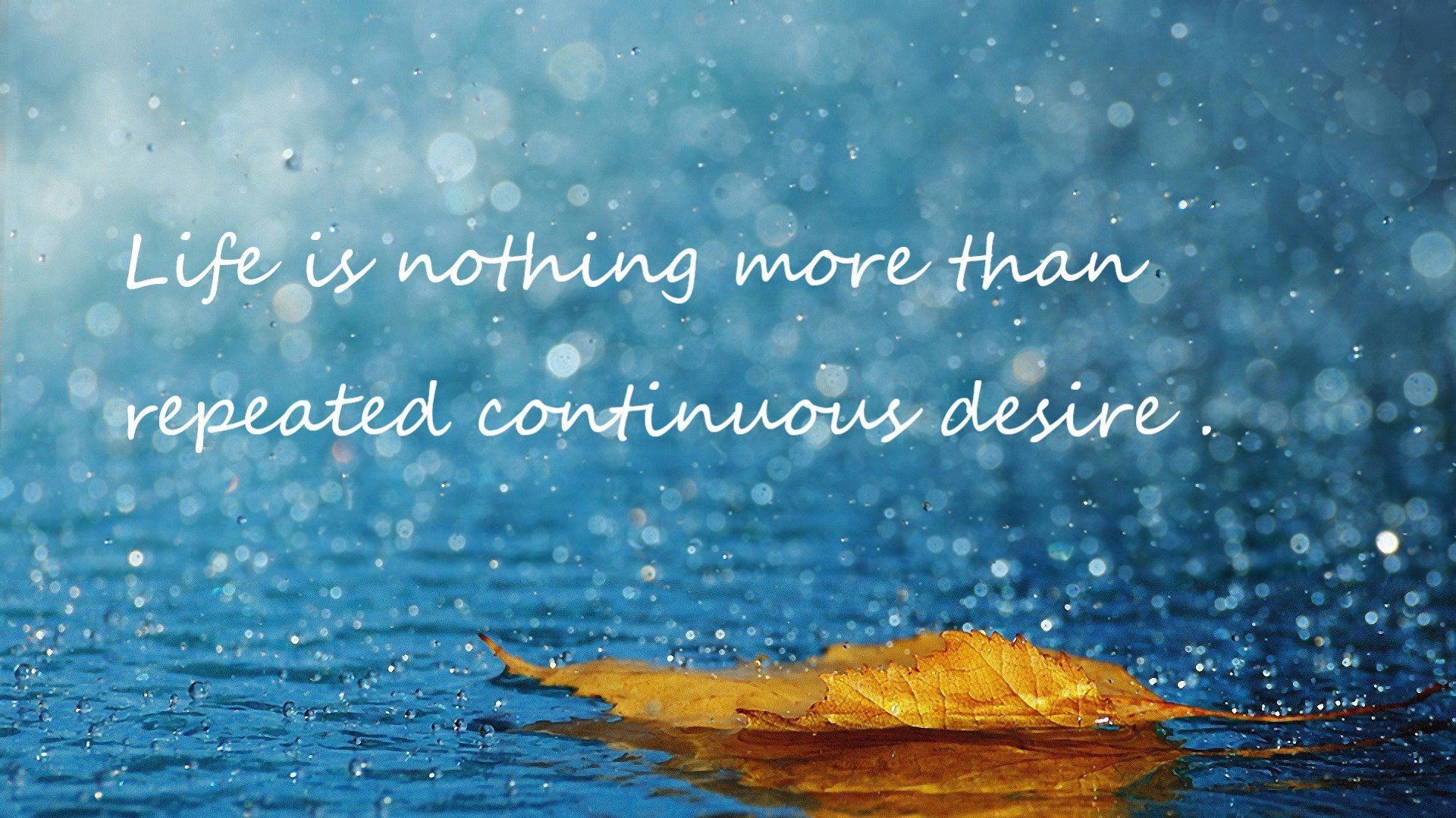 东方节奏驯服非洲野性，黄喜灿如何成为韩国的变速器