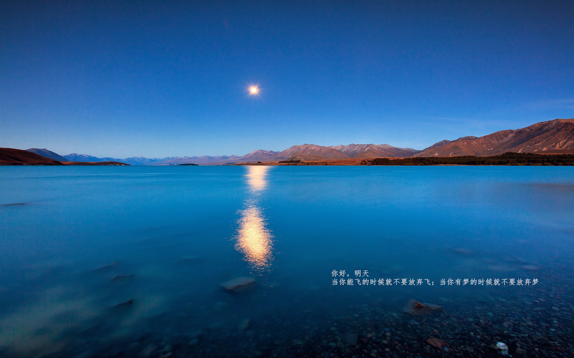 黑暗中燃烧的火山,世界排名争夺战之夜,卢卡库的稳定输出为比利时点燃希望