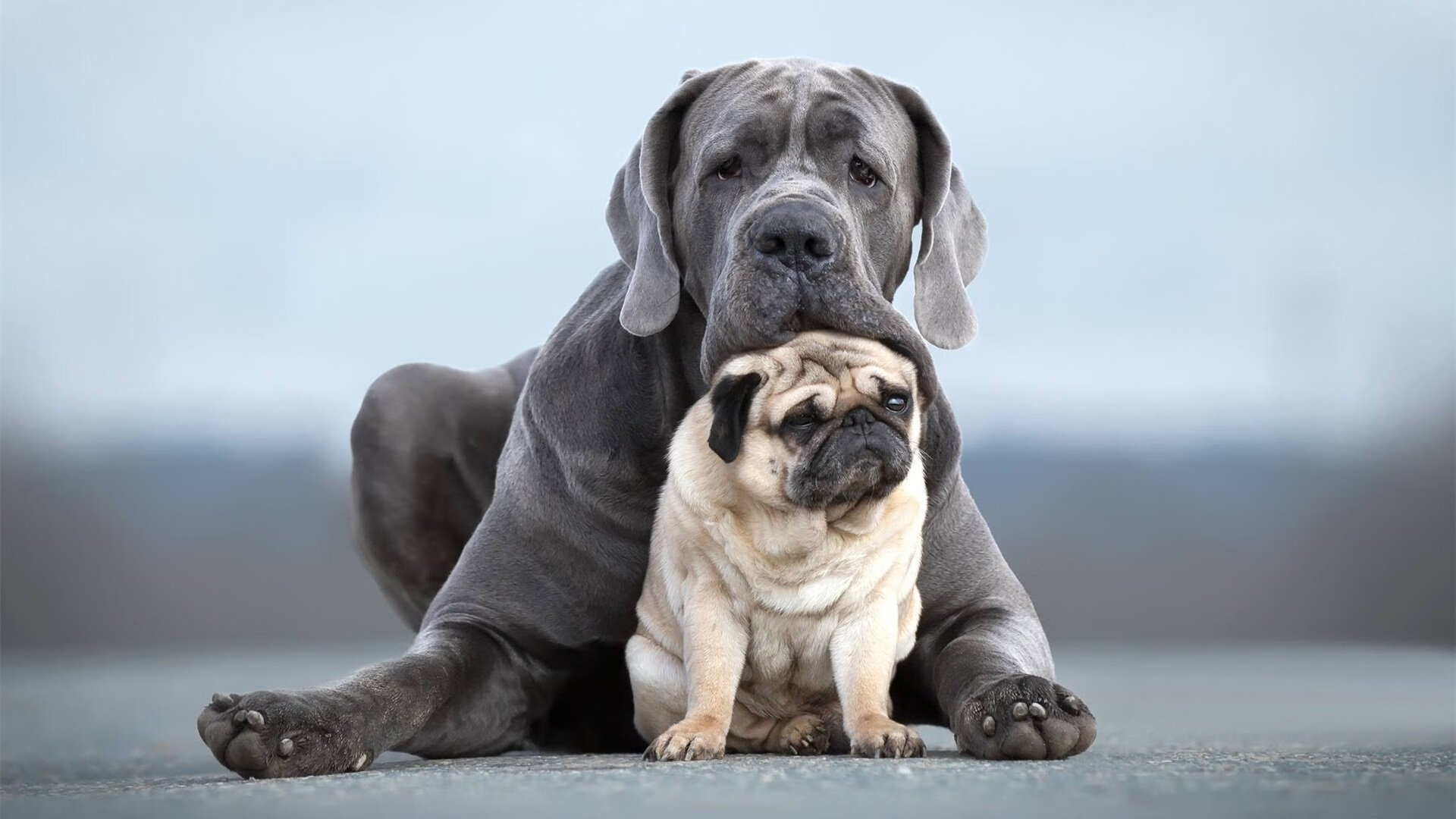 极速与终场,F1揭幕战悬念与步行者决胜勇士的完美共振