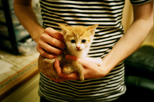 交响乐与撕裂声，当杜兰特操控节奏，灰熊用连续得分谱写胜利乐章