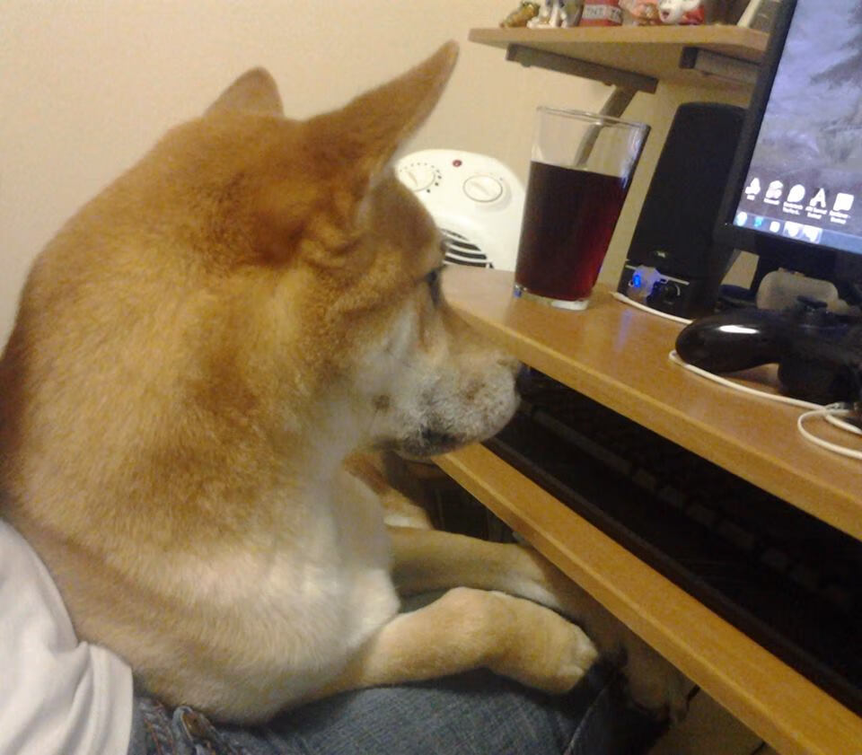 逆袭之夜，马里铁血防线封杀袋鼠军团，库尔图瓦扑救定乾坤