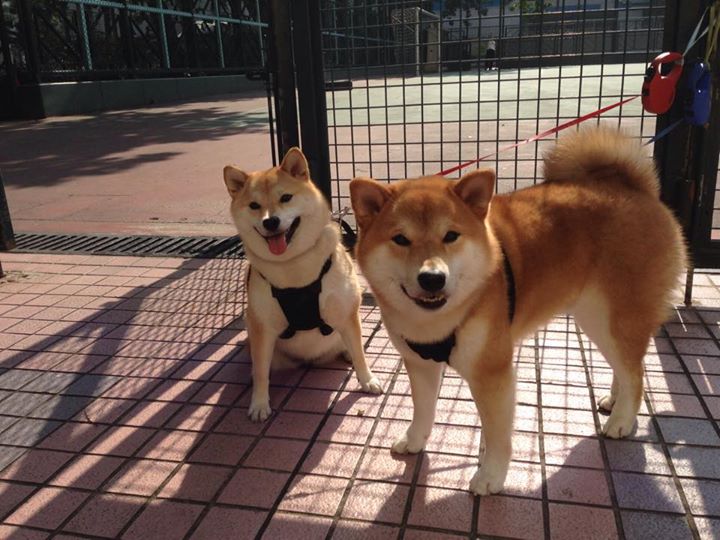 沉默的熔炉，毕尔巴鄂的钢铁意志，如何锻造出巴萨的逆境之刃阿莱士·戈麦斯