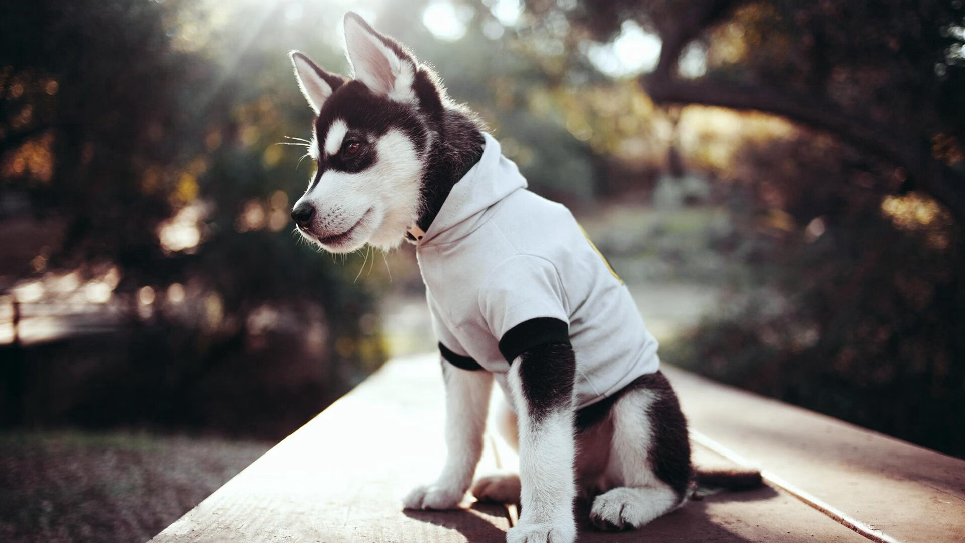 凯恩评分拉满的背后，一场穿越时空的足球想象