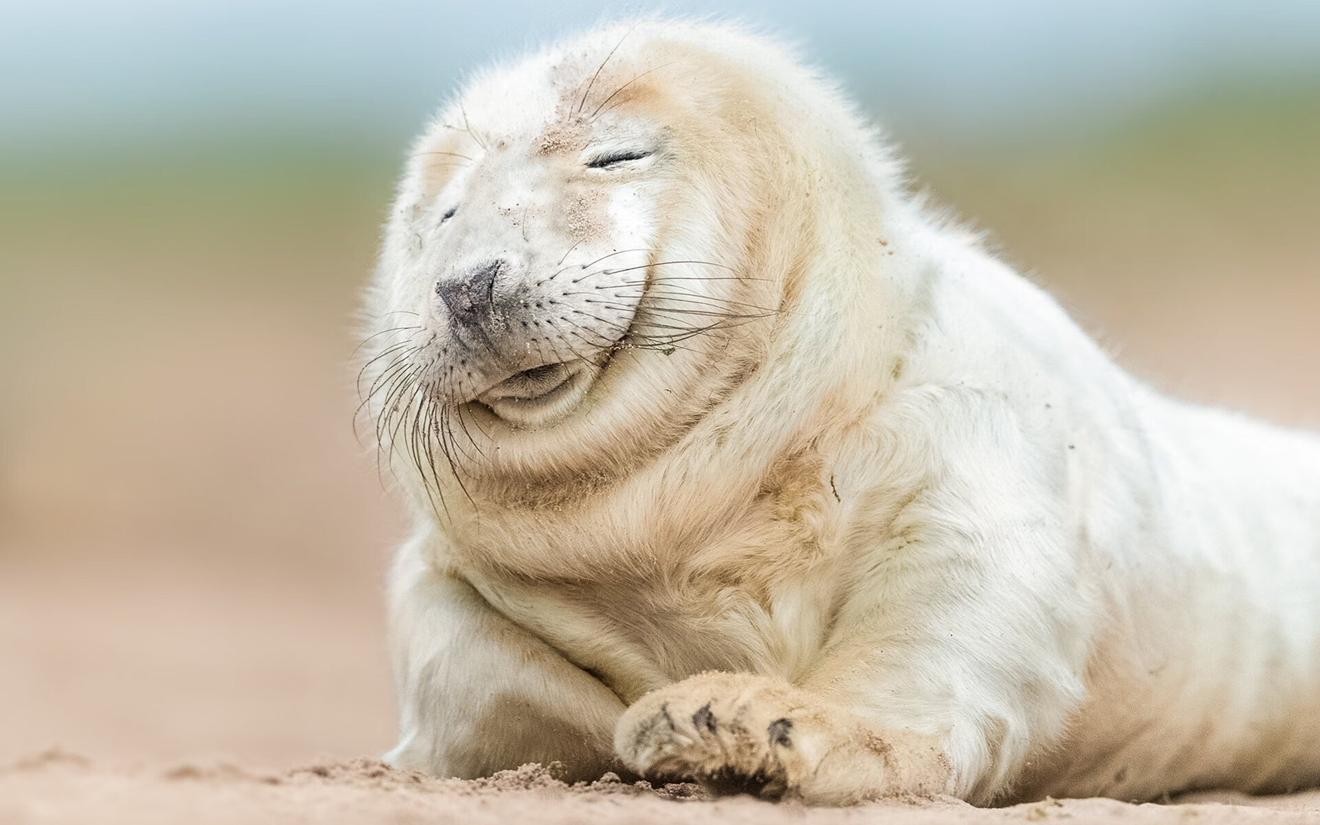 南美风暴与中场魔术师，秘鲁尖刀撕裂枪手，莫德里奇焦点战定乾坤