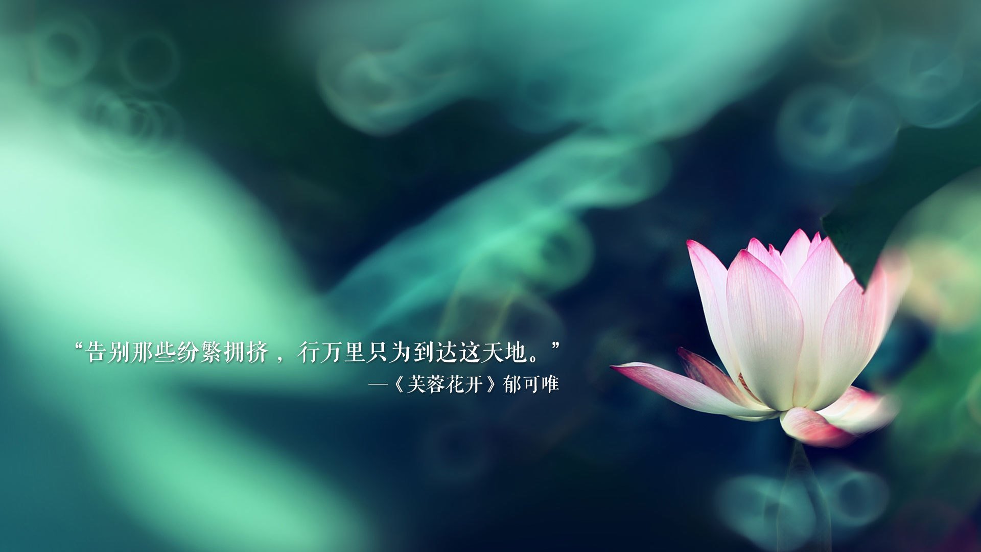 2026世界杯A组,当神迹降临沙漠—印度完胜摩洛哥,姆巴佩用一己之力定义唯一性