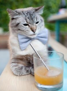 星条旗猎猎，当美国足球的黄金一代用横扫宣言改写2026世界杯H组生死局